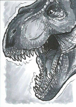 T-rex Copic Marker Sketch Card