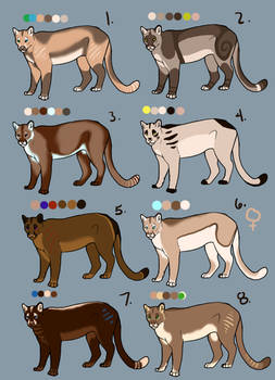 Mountain Lion Adoptables 1