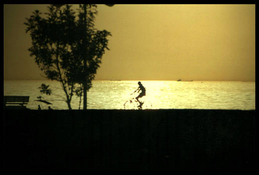 cycling at sunset