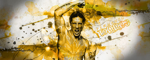 [SIGNATURE] - Fernando Torres