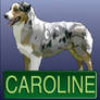 Caroline Nametag