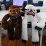 Chewie and Wampa