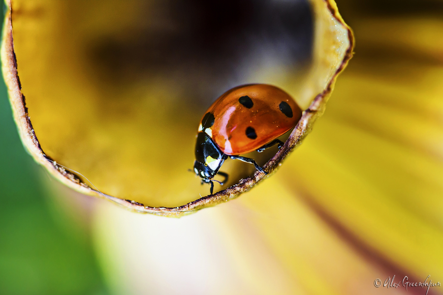 Round and Round by alexgphoto Round and Round by alexgphoto