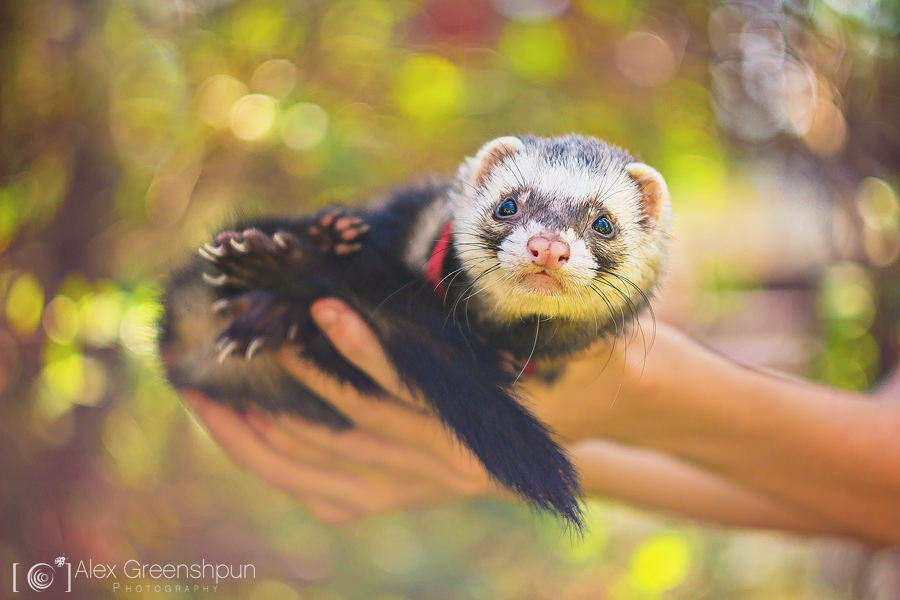 You Talkin' to Me? by alexgphoto You Talkin' to Me? by alexgphoto