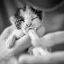The Little Miracle