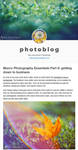 Macro Tutorial: the essentials by alexgphoto Macro Tutorial: the essentials by alexgphoto