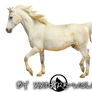 White Stock Horse Free