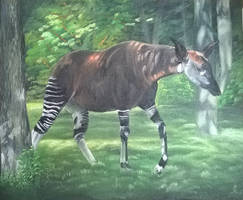 okapi