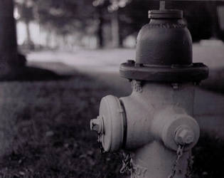 Oh, so typical fire hydrant