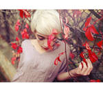 Cherry blossom girl. by arazugur