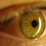 My Eye