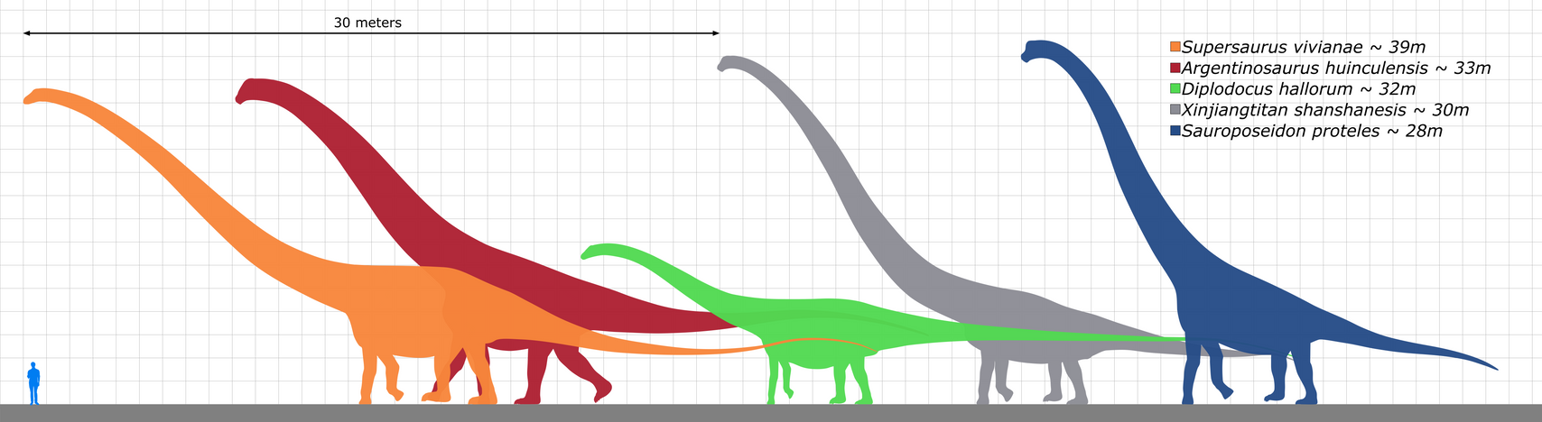 Longest Dinosaurs By KoprX On DeviantArt longest-dinosaurs-by-koprx-on-deviantart