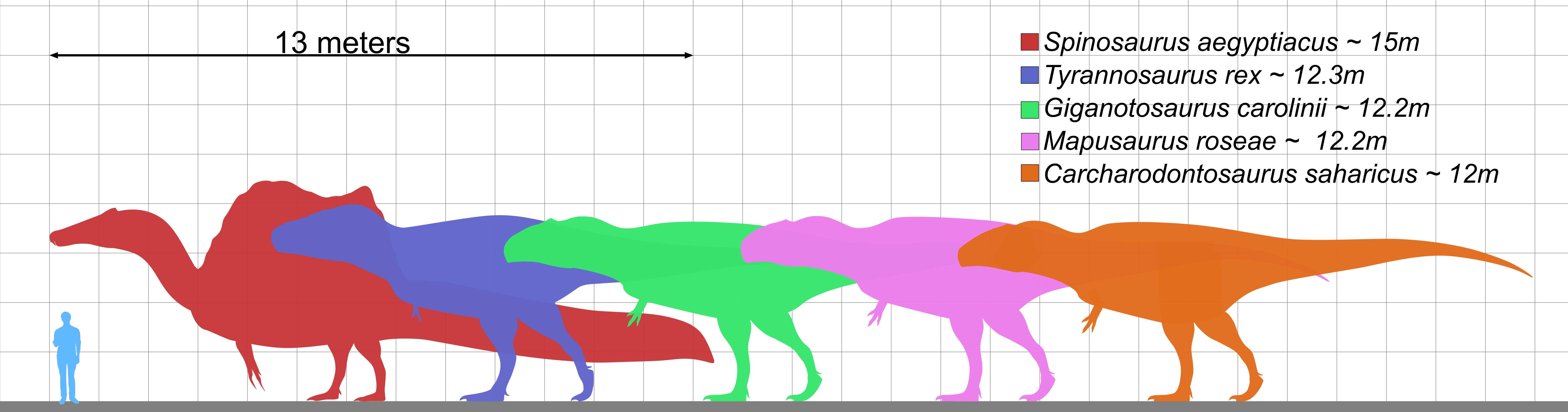 Longest theropods comparison by koprX on DeviantArt