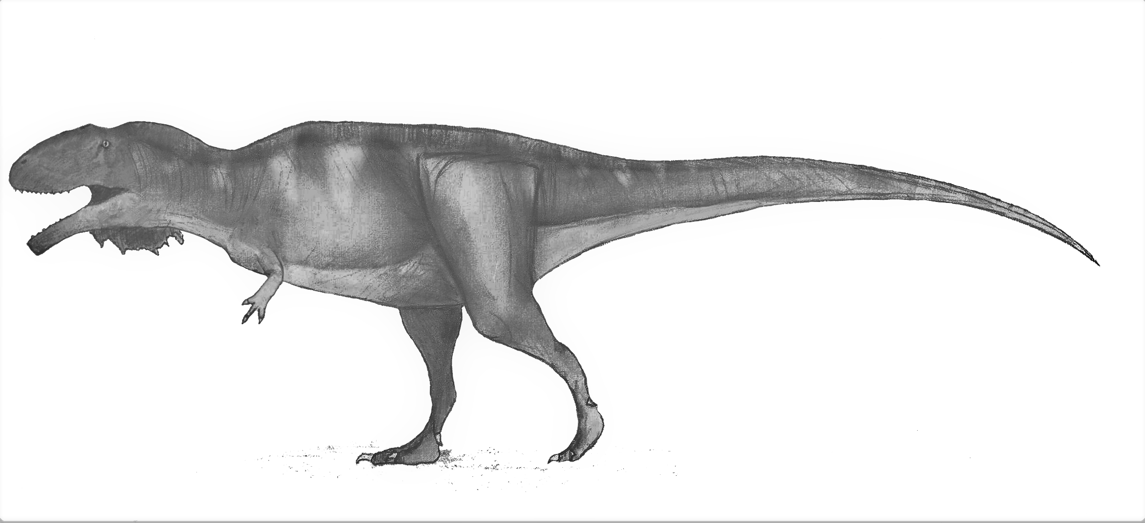 Mapusaurus Roseae restoration by koprX on DeviantArt