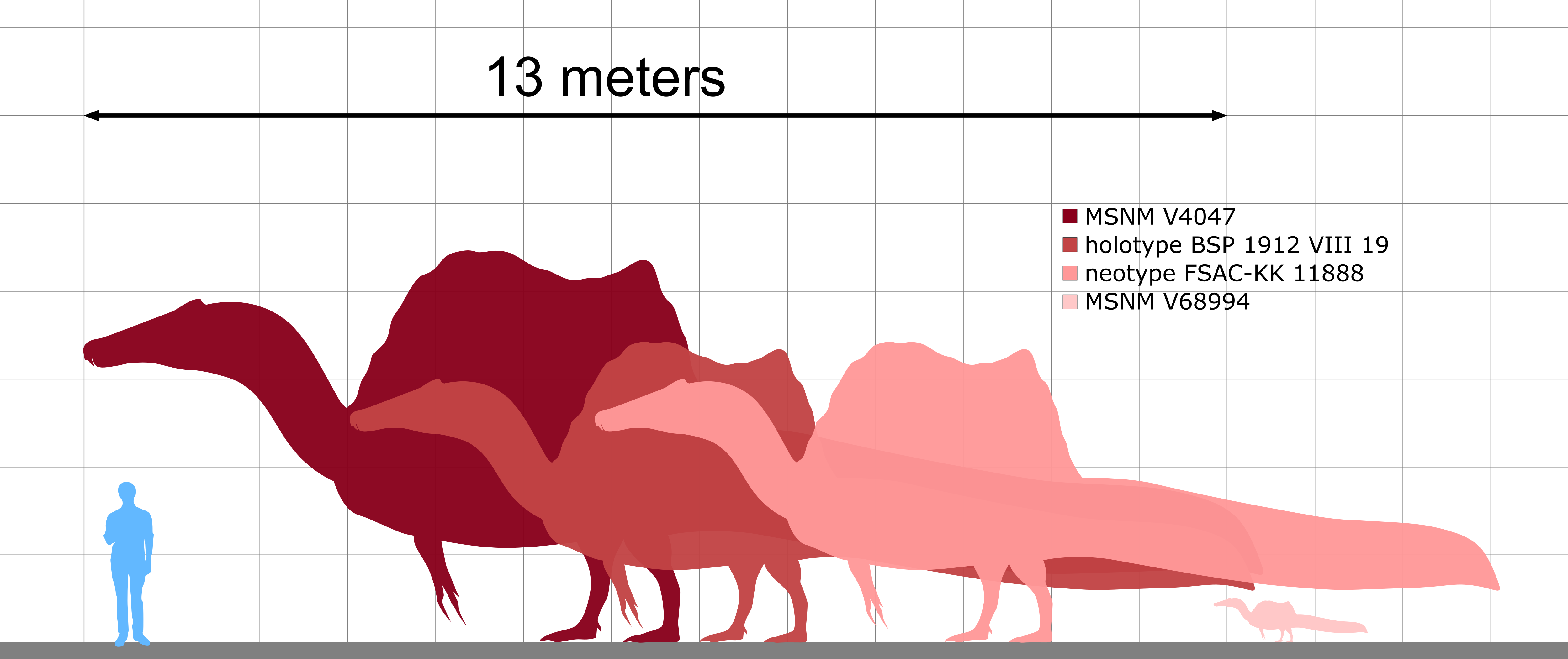 Spinosaurus Size Comparison By KoprX On DeviantArt spinosaurus-size-comparison-by-koprx-on-deviantart