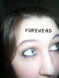 forehead