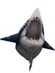 Sharpedo by 13alrog