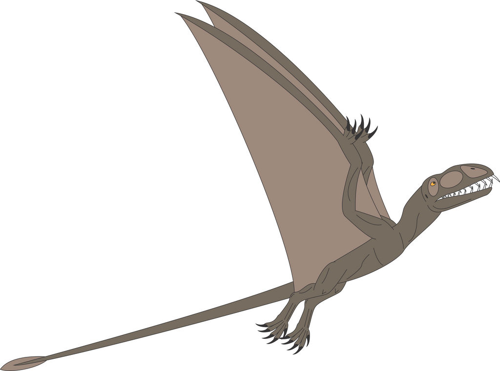 Prehistoric World - Dimorphodon by Daizua123 on DeviantArt