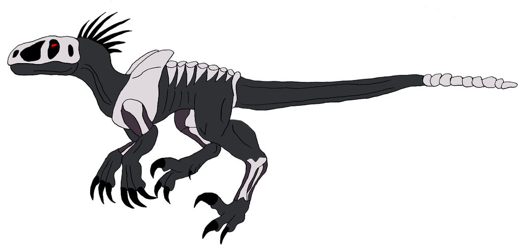 The Ghost Raptor by Daizua123 on DeviantArt