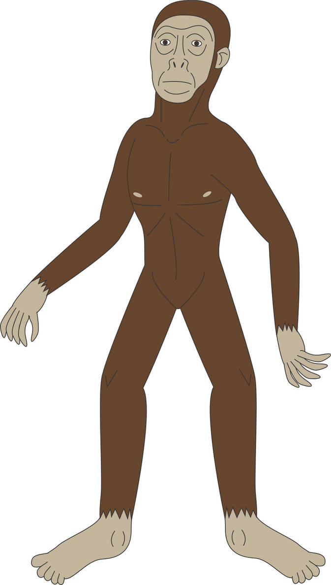 Australopithecus Images Animation Prehistoric World - Australopithecus by Daizua123 on DeviantArt