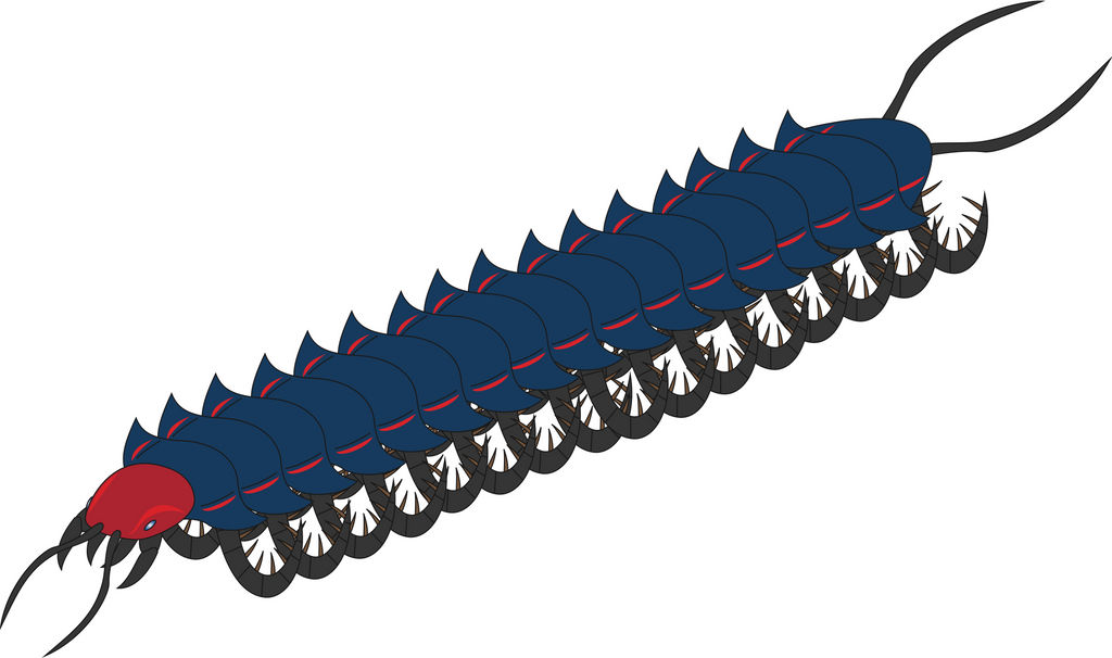 Con Rit by Daizua123 on DeviantArt