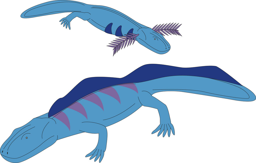 Filex Pokemon Pokemon Files #90 by Daizua123 on DeviantArt