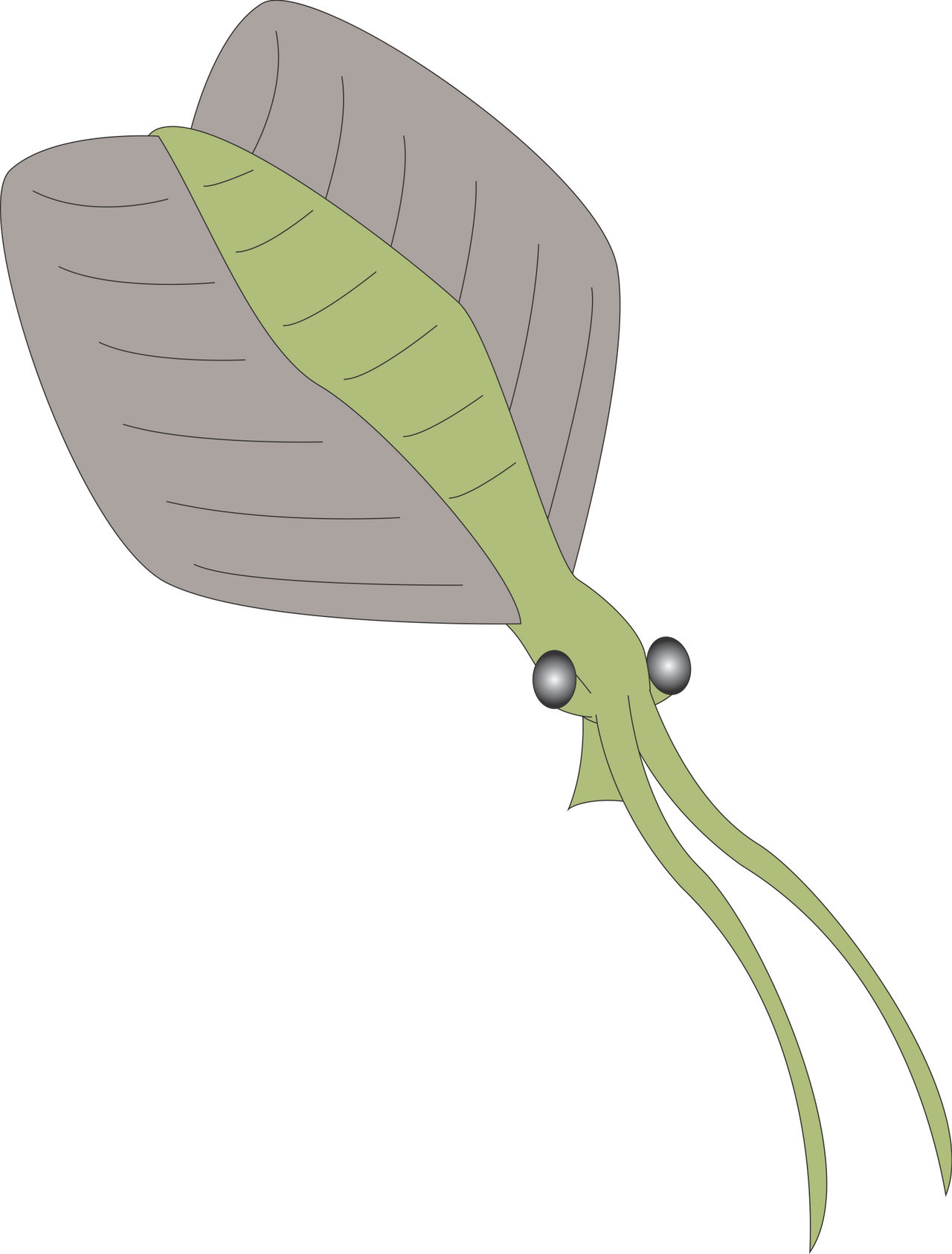 Prehistoric World Nectocaris by Daizua123 on DeviantArt