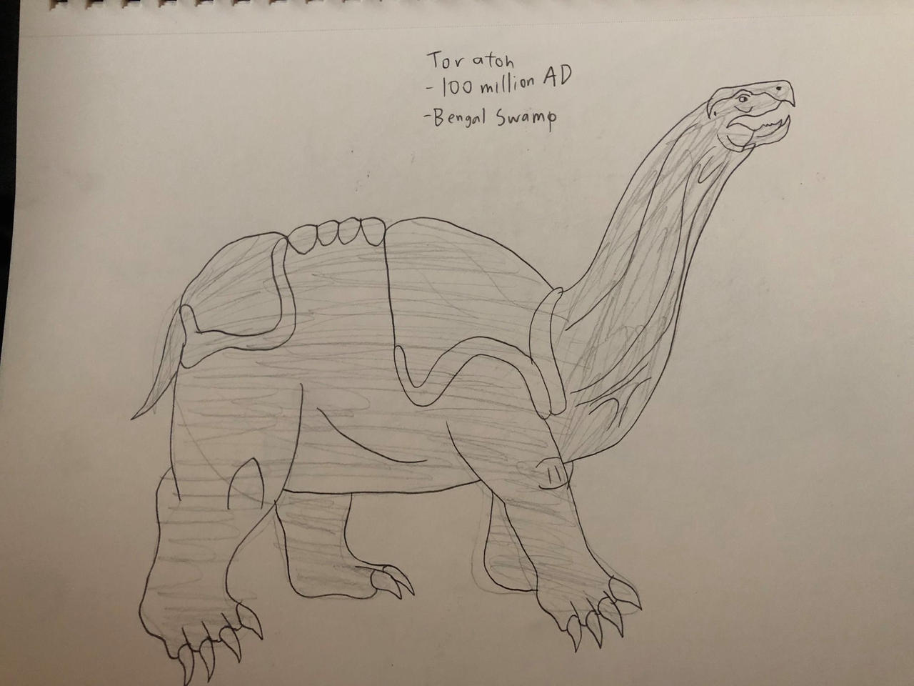 Toril Raton Toraton by Daizua123 on DeviantArt