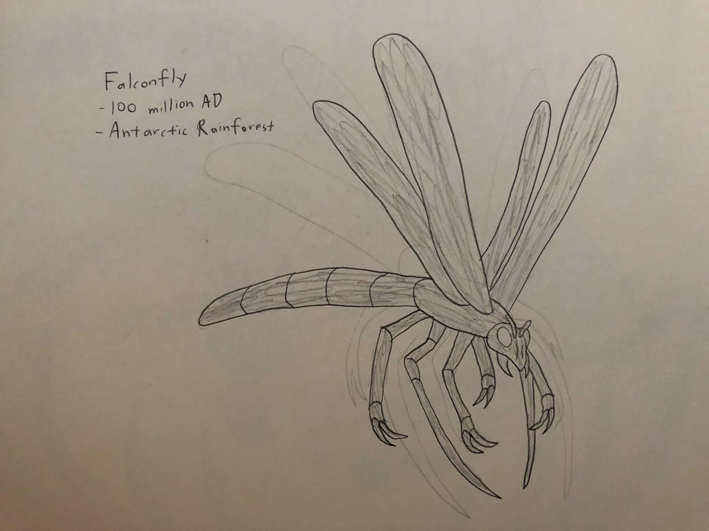 Falky Insect Falconfly by Daizua123 on DeviantArt
