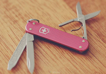 Victorinox Alox Classic in Pink