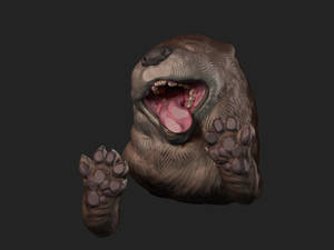 otterSpeed Sculpt