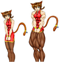 Chinese Dress Catgirl
