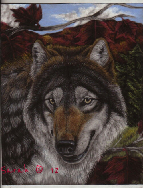 autumn wolf scanned