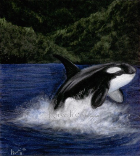 Orca