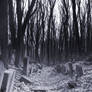 The Jewish Cemetary