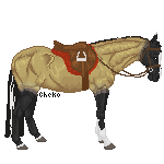 A bored horse -tag-