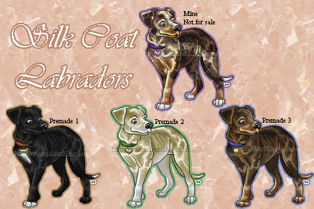 Silk Coat Labradors (Re-colours + premades!)