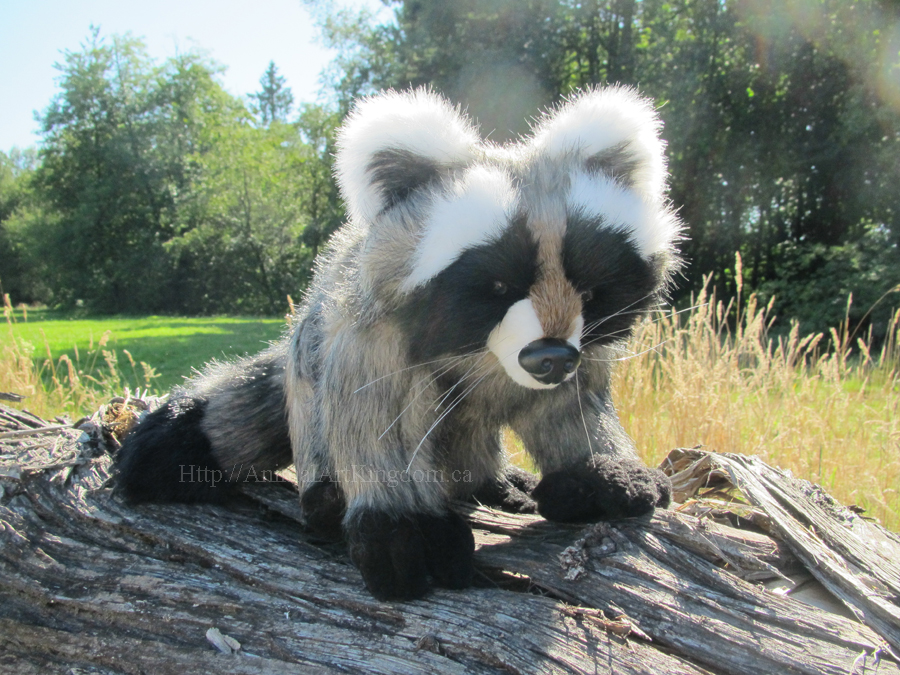 Raccoon Stuffed Animal Plush