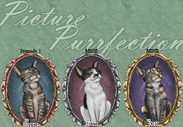 Picture Purrfection (Re-colours for sale!)