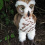 Burrowing Spotted Owl Handmade Plush Toy