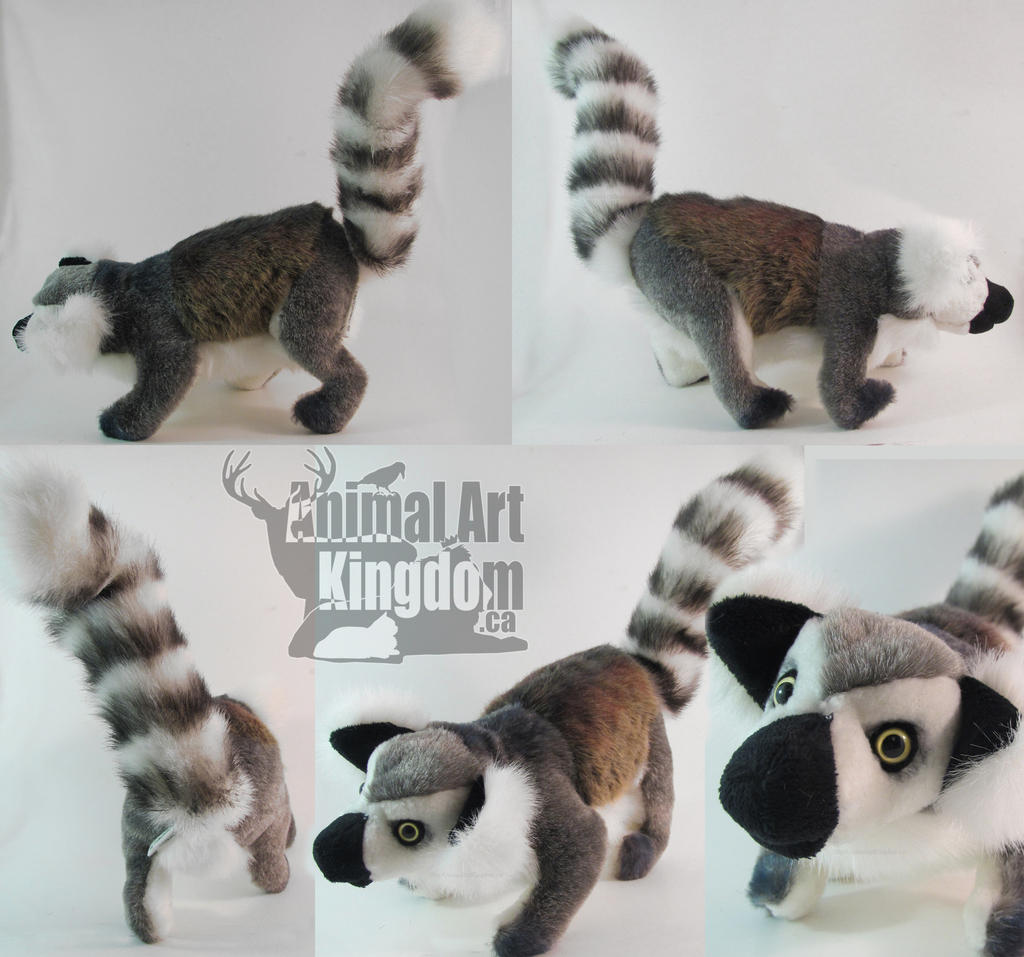 6in Ring Tailed Lemur