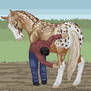 Vet Inspection