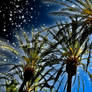 Sparkly Palms 2