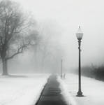 Foggy Day in the Park by jheintz21