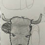 gray cow