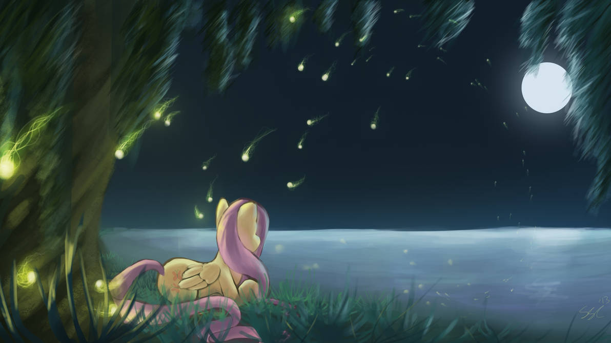 Little pony night