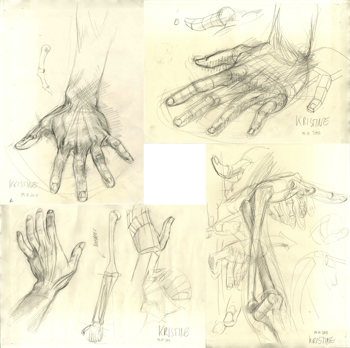 TDA19-10 hand study homework