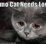 emo cat needs love