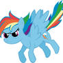 Dashing Dashie