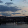 Harbour Light